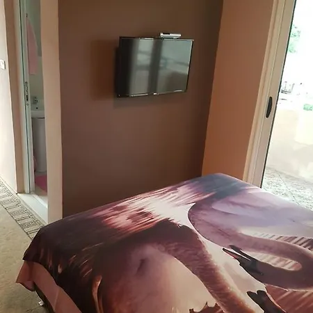 Apartamento Galileo *